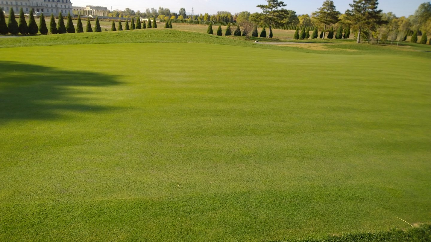 Meticulously manicured lawn with stripes stretching toward a distant building.